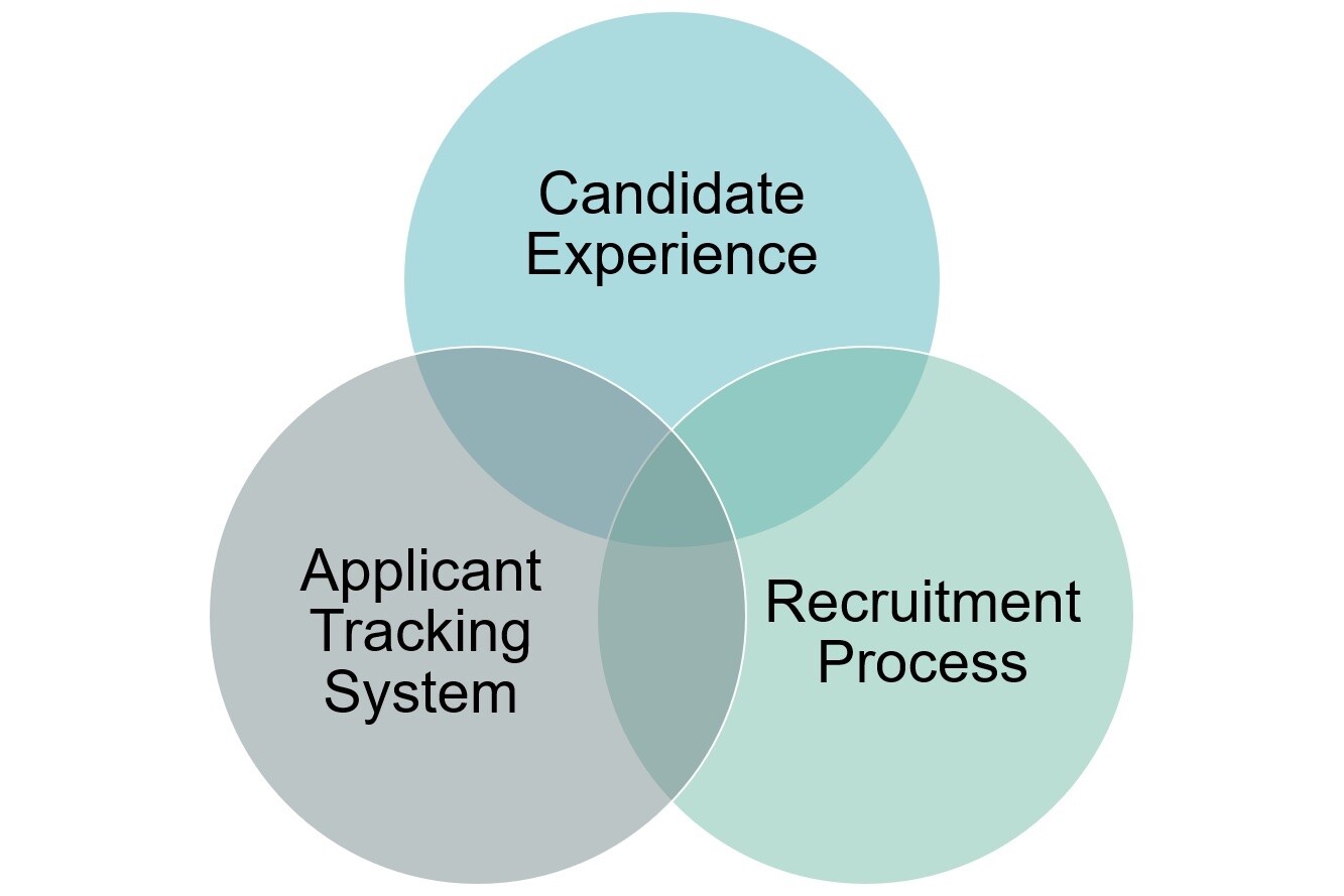 Processes to review - AlignMark - 360 Degree Feedback